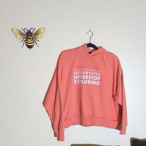 The North Face Pink Oversized Hoodie